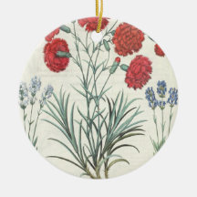 Carnations and Lavender: 1.Caryophyllus maximus pl Christmas Ornaments