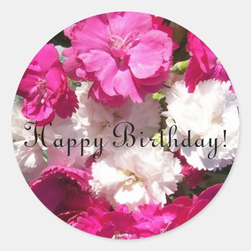Carnations Birthday Stickers Zazzle
