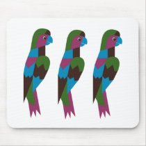 Carnival at the Zoo - 3 Parrots mousepads