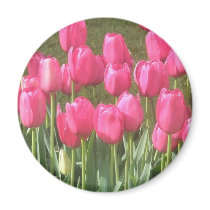 carnival in pink magnets by lollypopgirrrl carnival in pink magnets