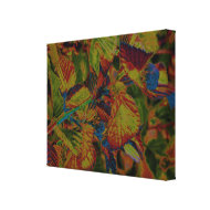 Carnivale Wrapped Canvas wrappedcanvas