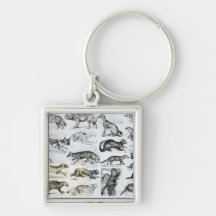 Carnivorous Animals Keychain