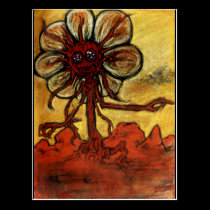 Carnivorous Daisy postcards
