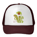 Carnivorous Plant Darlingtonia Hat