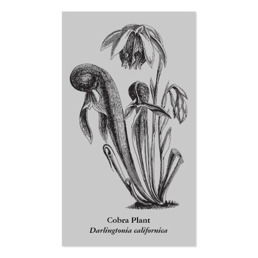 Carnivorous Plant Nursery Business Cards (back side)