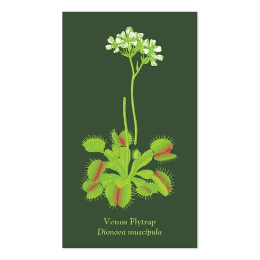 Carnivorous Plants Business Card (back side)