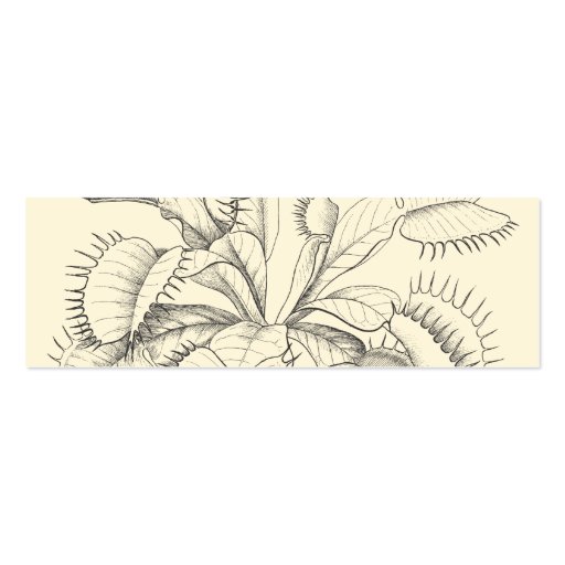 Carnivorous Plants Business Card (back side)