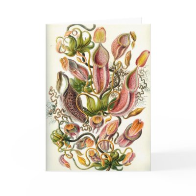 Carnivorous Plants Card by mosswood