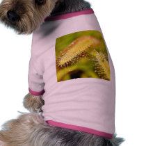 Carnivorous Plants pet clothing by lifesphere Carnivorous Plants pet clothing