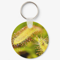 Carnivorous Plants keychains by lifesphere Carnivorous Plants keychains