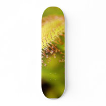 Carnivorous Plants skateboards by lifesphere Carnivorous Plants skateboards