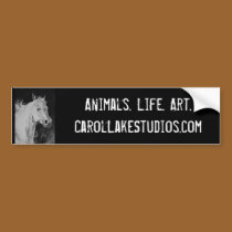 Carol Lake Studios Bumpersticker bumper stickers