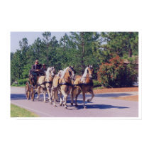 CAROLINA  CARRIAGE posters
