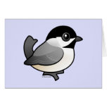 Carolina Chickadee Cards