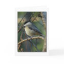 Carolina Chickadee Note Card