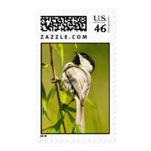 Carolina Chickadee Postage Stamps