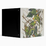 Carolina Parakeet, from 'Birds of America', 1829 Vinyl Binders