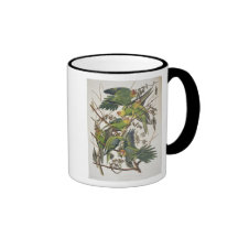 Carolina Parakeet, from 'Birds of America', 1829 Mug