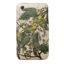 Carolina Parrot Iphone 3 Cover
