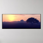 Carolina Posters