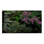 Carolina wild pink business cards