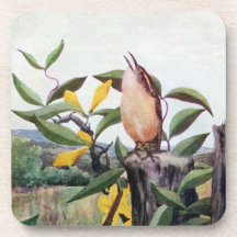 Carolina Wren and Yellow Jessamine Beverage Coasters