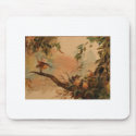 Carolina Wren mousepads