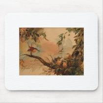 Carolina Wren mousepads