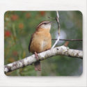 Carolina Wren mousepads