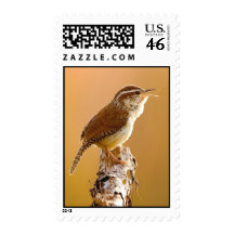 Carolina Wren Singing in the Morning Stamp