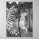 Carousel at the Audubon Zoo New Orleans, Louisiana Poster