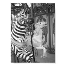 Carousel at the Audubon Zoo New Orleans, Louisiana posters