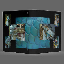 Carousel Binder binders