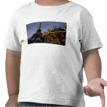 Carousel by the Eiffel Tower in the evening, Shirts