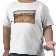 Carousel given for Louis XIV Tshirts