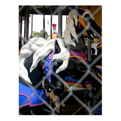 Carousel Post Cards