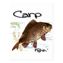 Carp Fishin' Postcards