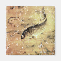 Carp Magnet