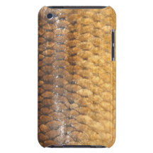 Carp Skin IPod Touch Case