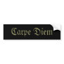 Carpe Diem Bumper Stickers