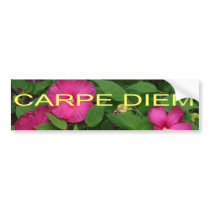 Carpe Diem bumper stickers by artistellenstrauss Carpe Diem bumper stickers