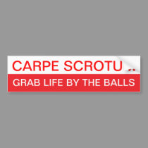 Carpe Diem? bumper stickers