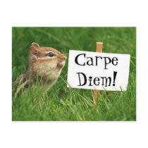 Carpe Diem! Chipmunk with Sign Postcard