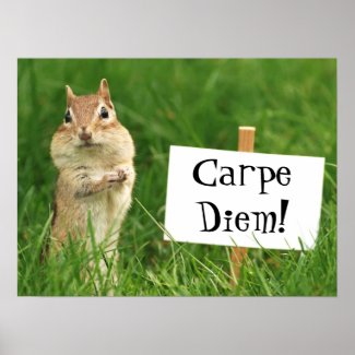 Carpe Diem Chipmunk with Sign Poster