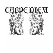 Carpe Diem Gargoyles t-shirts