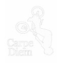 Carpe Diem High Flyer (Dark Shirts)