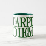 Carpe Diem Latin Quote Mug