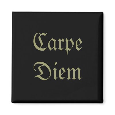 Carpe Diem Fridge Magnet by rdwnggrl