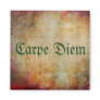 Carpe Diem Refrigerator Magnets
