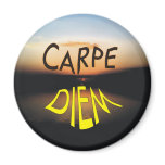 CARPE DIEM FRIDGE MAGNETS
